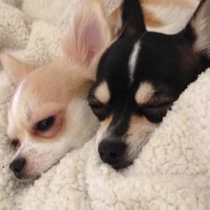 Meet your Posher, Joanna